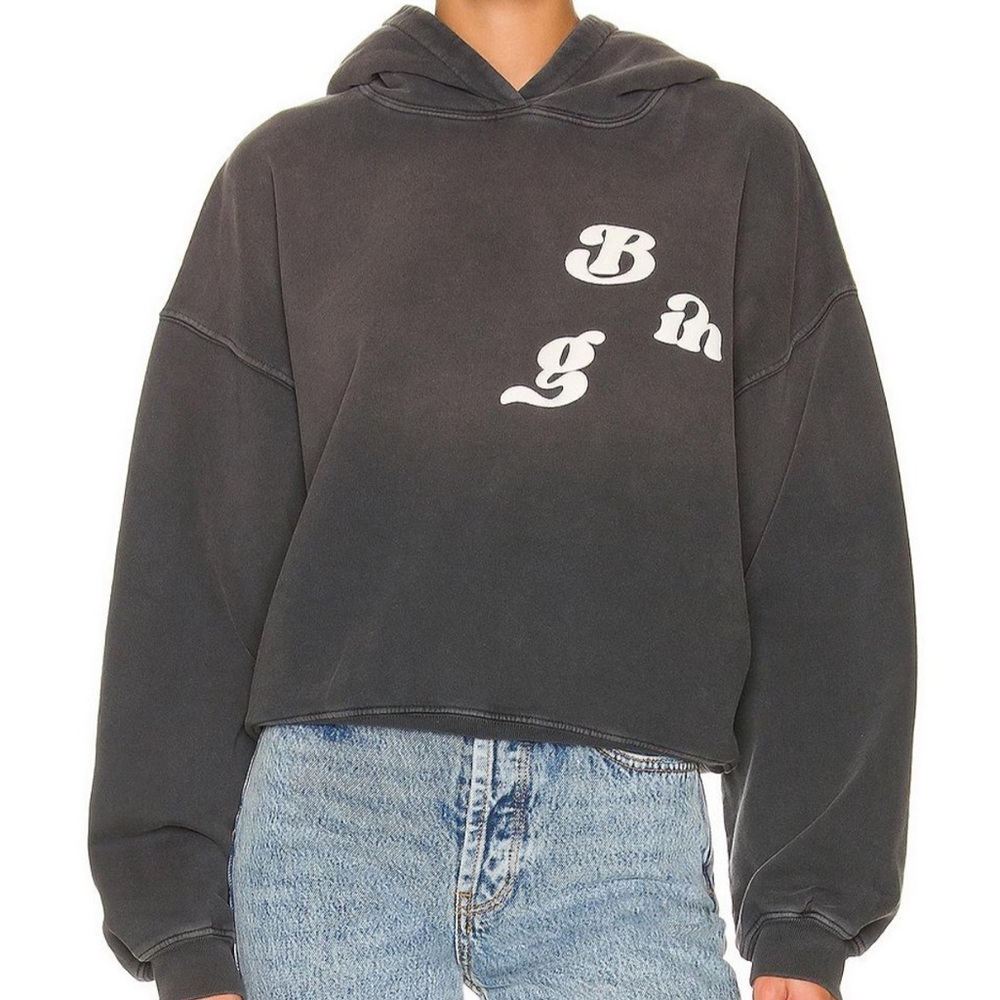 Anine Bing Alec Vintage Hoodie